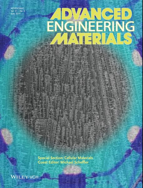 Advanced Engineering Materials cover